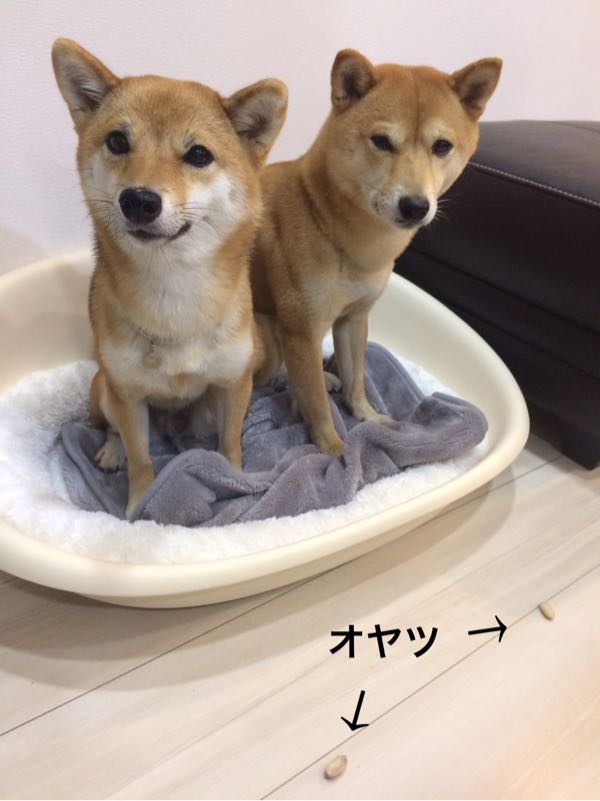 rblog-20161124125920-05.jpg