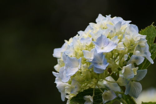 20140618_24.jpg