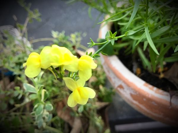 rblog-20161128164954-03.jpg