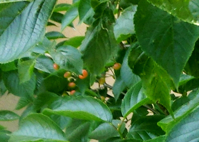 20150426(2)
