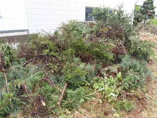 rblog-20140629160208-01.jpg