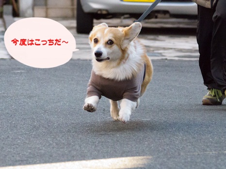 はな
