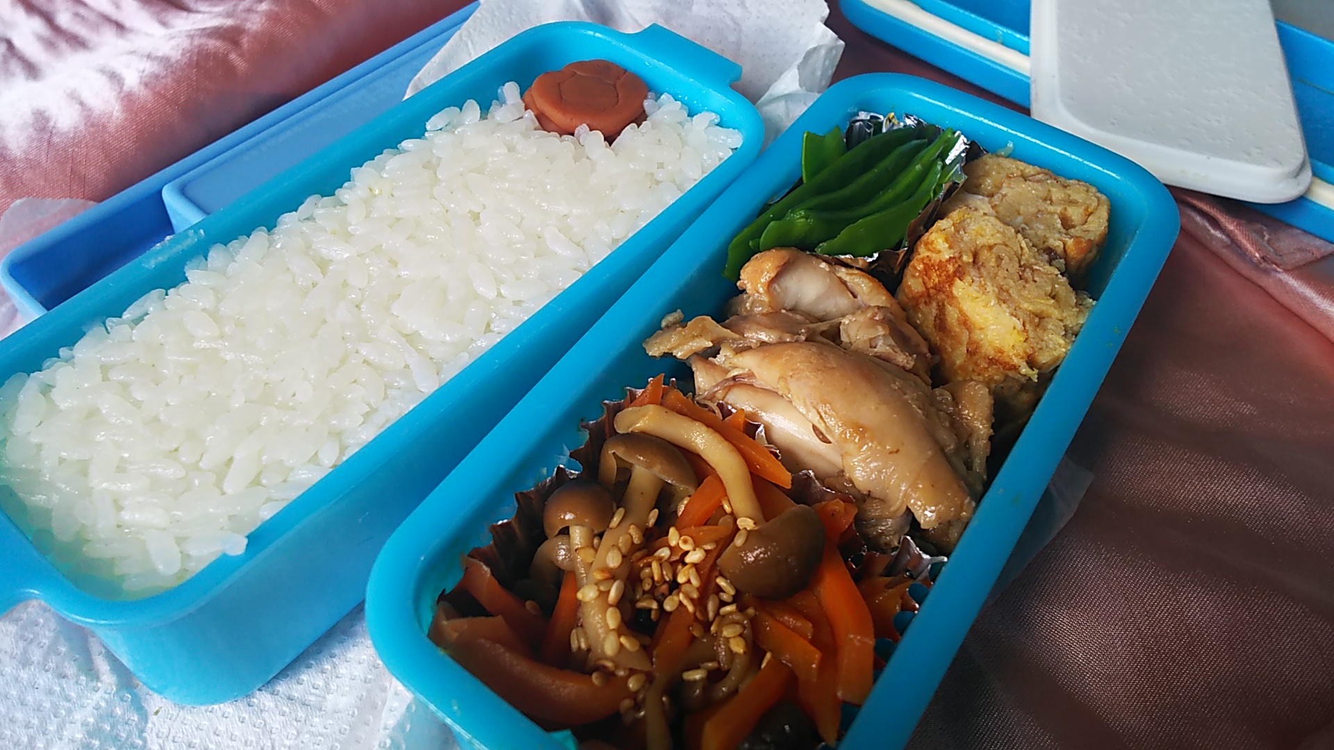 291205弁当.JPG