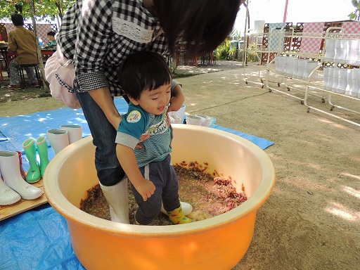 budo3