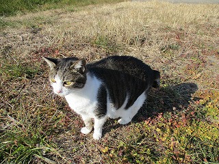 IMG_5630ss.jpg
