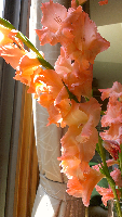 rblog-20130807003636-03.png