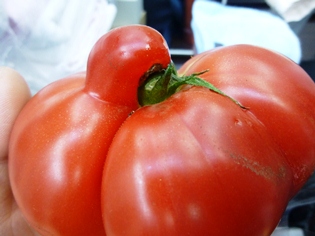 P1020400.JPG