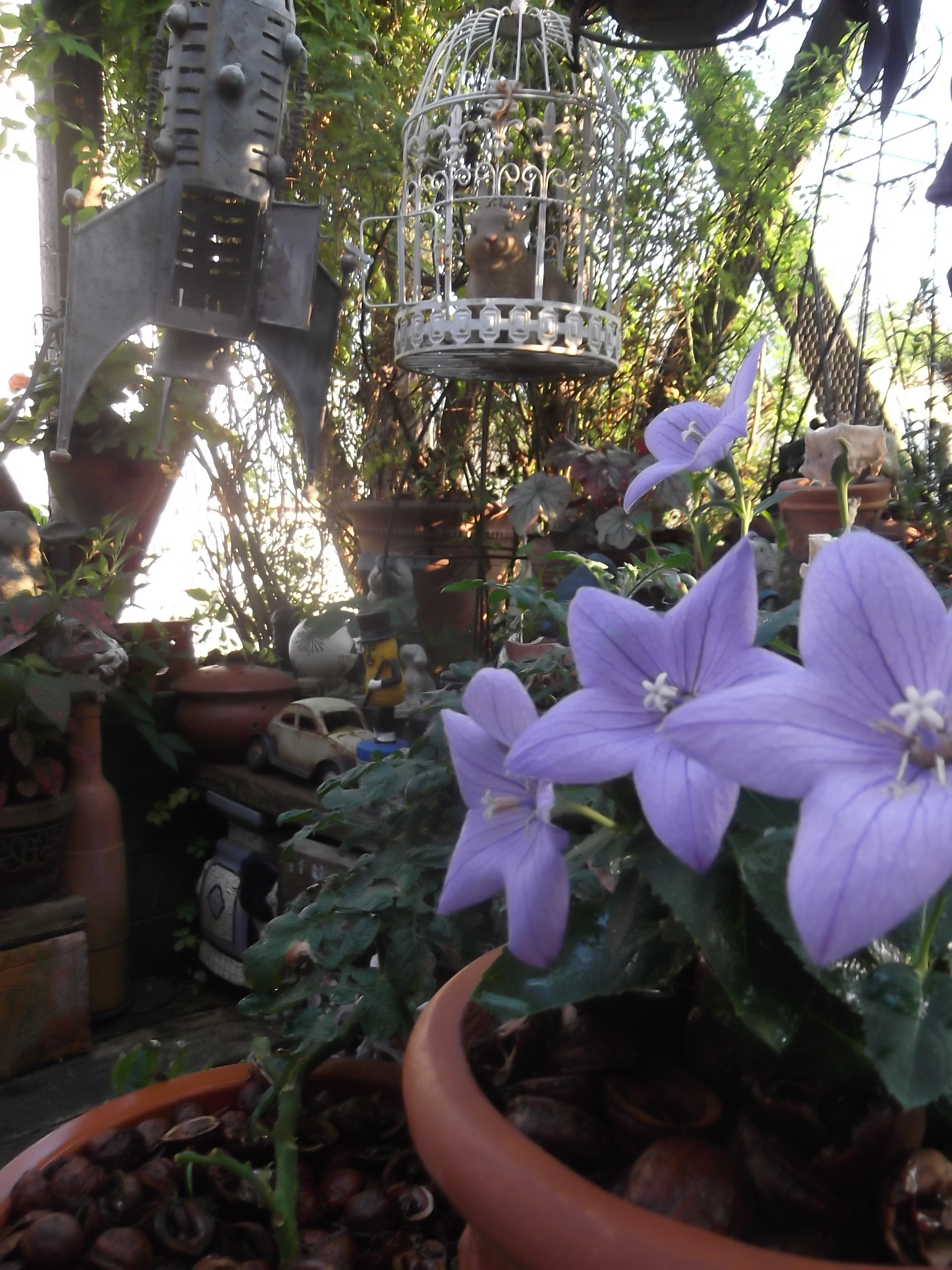 DSCF4765.JPG