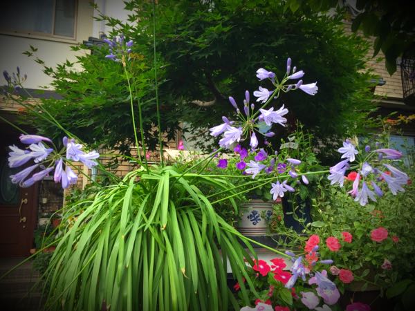 rblog-20160630184033-08.jpg