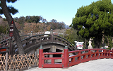 CIMG0005（八幡宮　太鼓橋）２(小)右.png