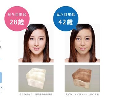 見た目.jpg