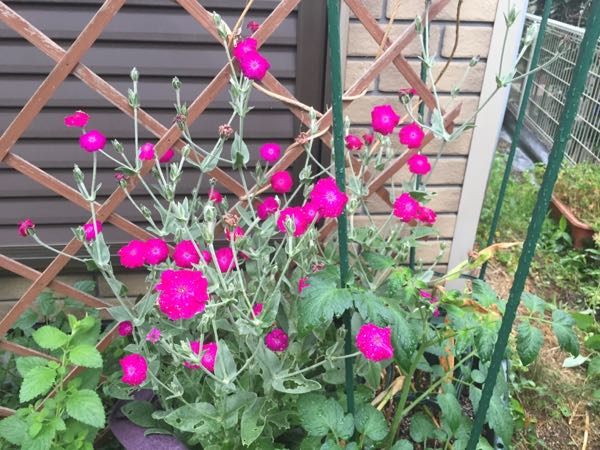 rblog-20160530190925-04.jpg