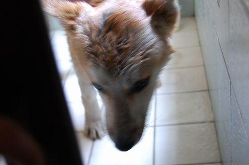 DSC_0520.JPG