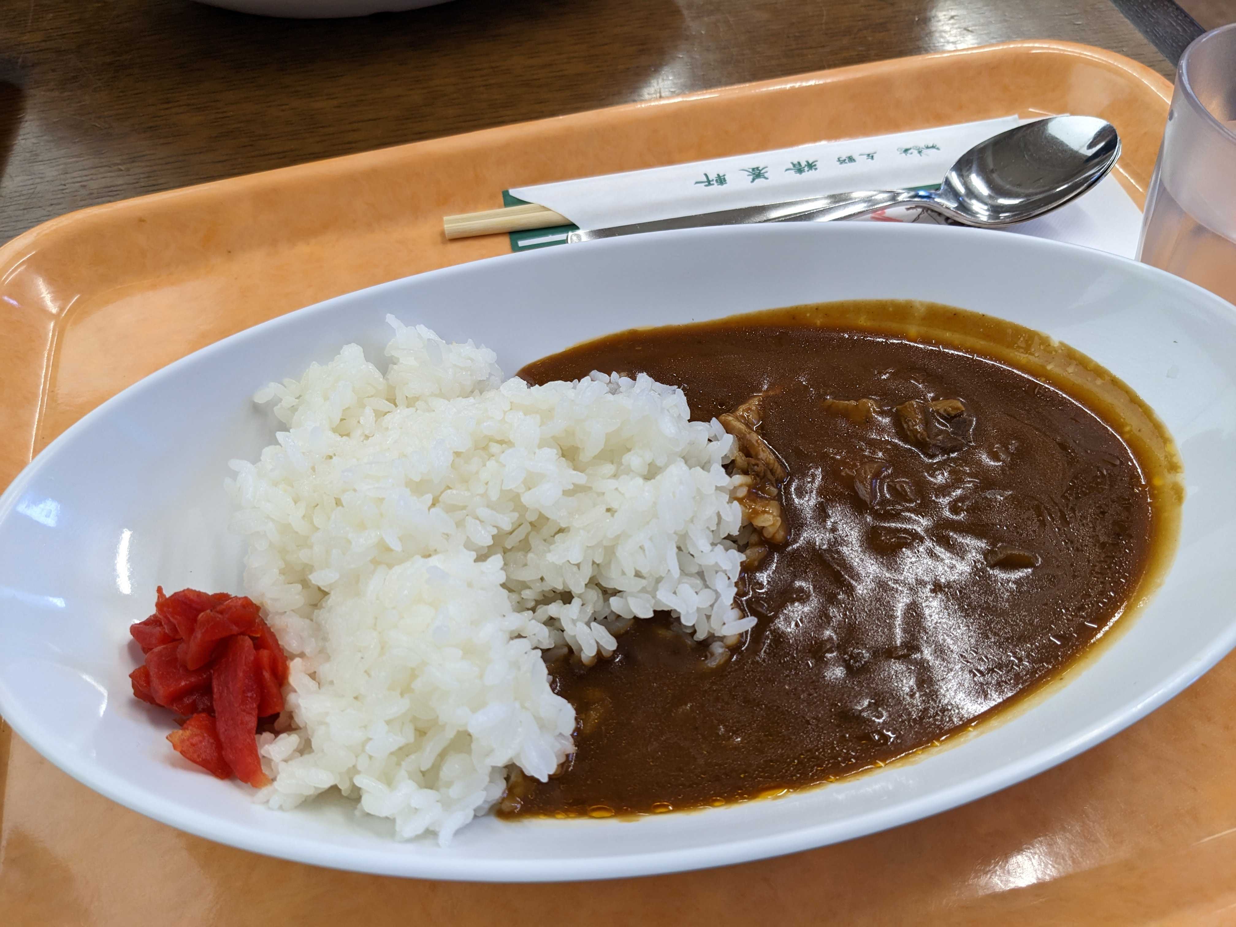 国立科学博物館くじらカフェのハヤシライス