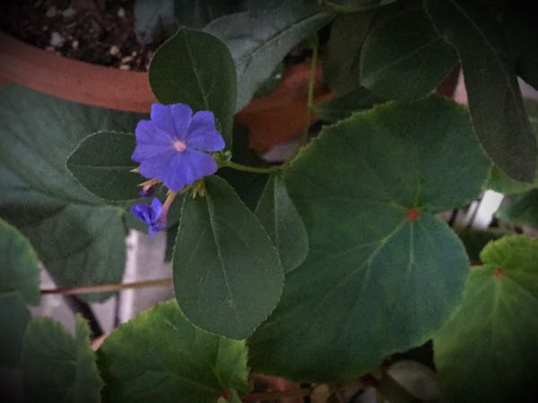 rblog-20160727194317-05.jpg