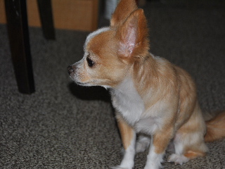 SSC_6617.JPG