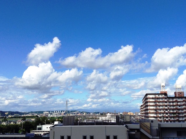 秋空2.JPG