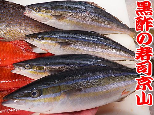 港区 東新橋 美味しい魚 宅配寿司
