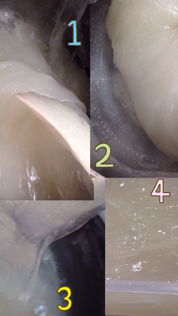rblog-20140117190921-02.jpg