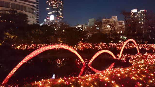 2015-11-28 17.09.55.jpg