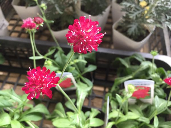 rblog-20160911170221-00.jpg