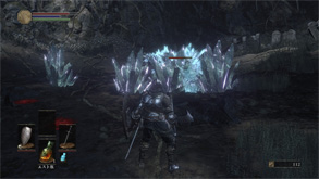 DS21.jpg