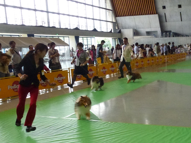 P1010143 - コピー.JPG