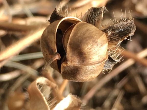 rblog-20171116155203-05.jpg