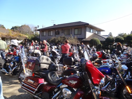 Dsc04206.jpg