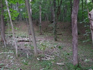 15_キウス２