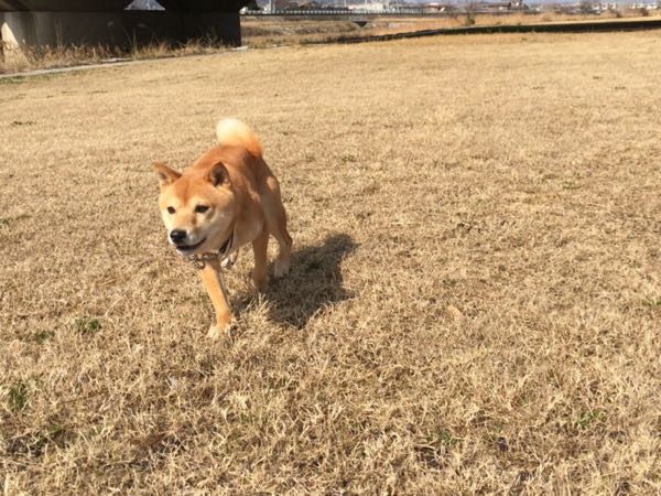 rblog-20160221153207-02.jpg