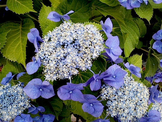 120611_164245.jpg