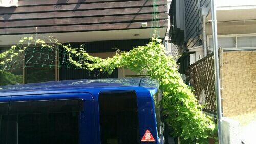 rblog-20160724090137-01.jpg