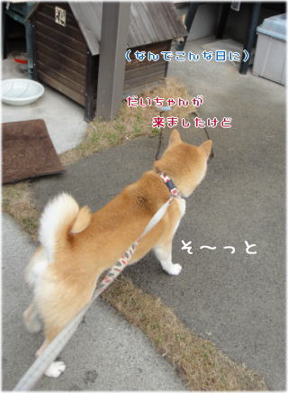 トラちゃんち1.jpg