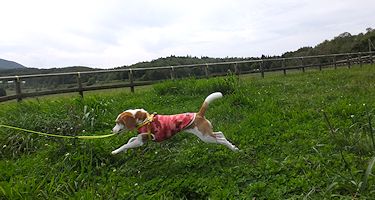 20160917雨境峠