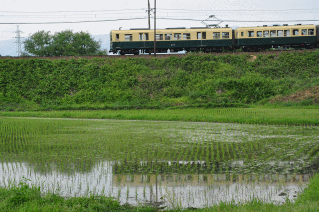 電車アニメ