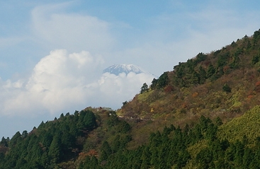 DSC01763.JPG