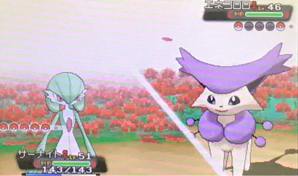 チャンピオンロード たこやきのポケモンブログ 楽天ブログ