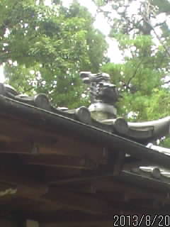 屋根の上１