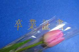 卒業証書