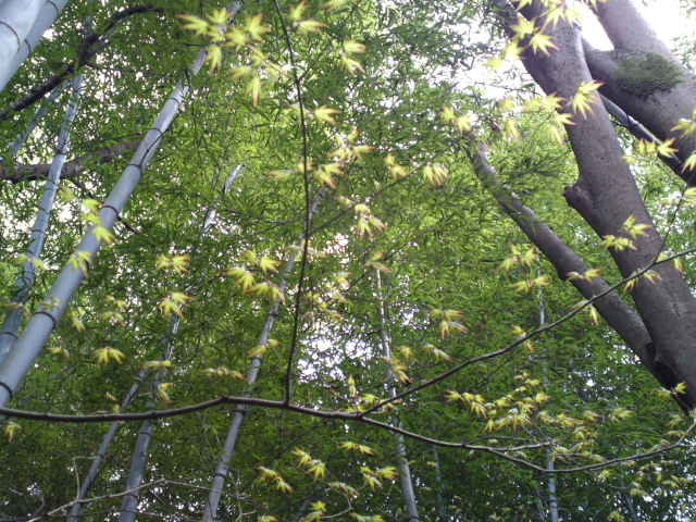 2012-04-15 06:04:35
