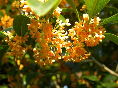 DSCN0209.jpg