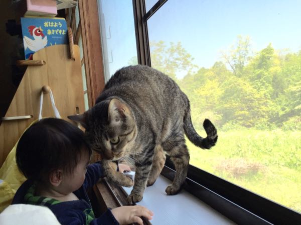 rblog-20150523215849-00.jpg