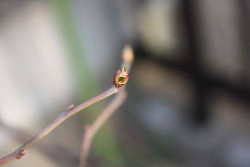 2015031004.JPG