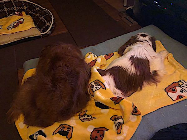 rblog-20180323022948-04.jpg