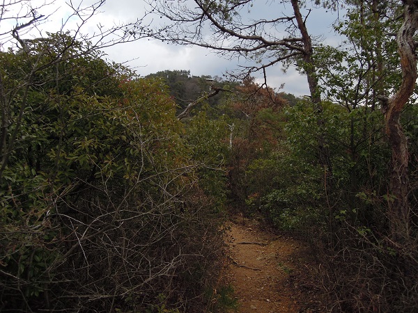 DSCN2766s.jpg