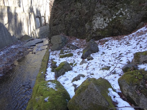 DSC03797.JPG