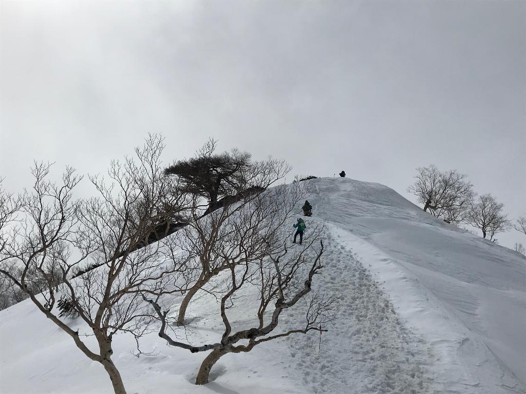 GWの北アルプス ：燕岳（つばくろだけ）～常念岳（1）燕岳・日本200名山2763m | 醍醐山と下部（しもべ）温泉 - 楽天ブログ