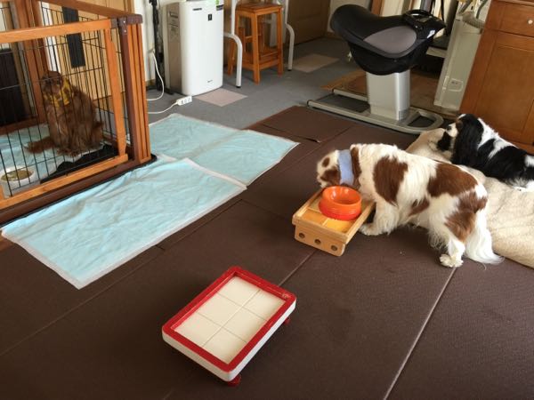 rblog-20160406100354-03.jpg