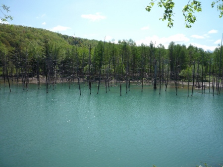 P1030083 (450x338).jpg